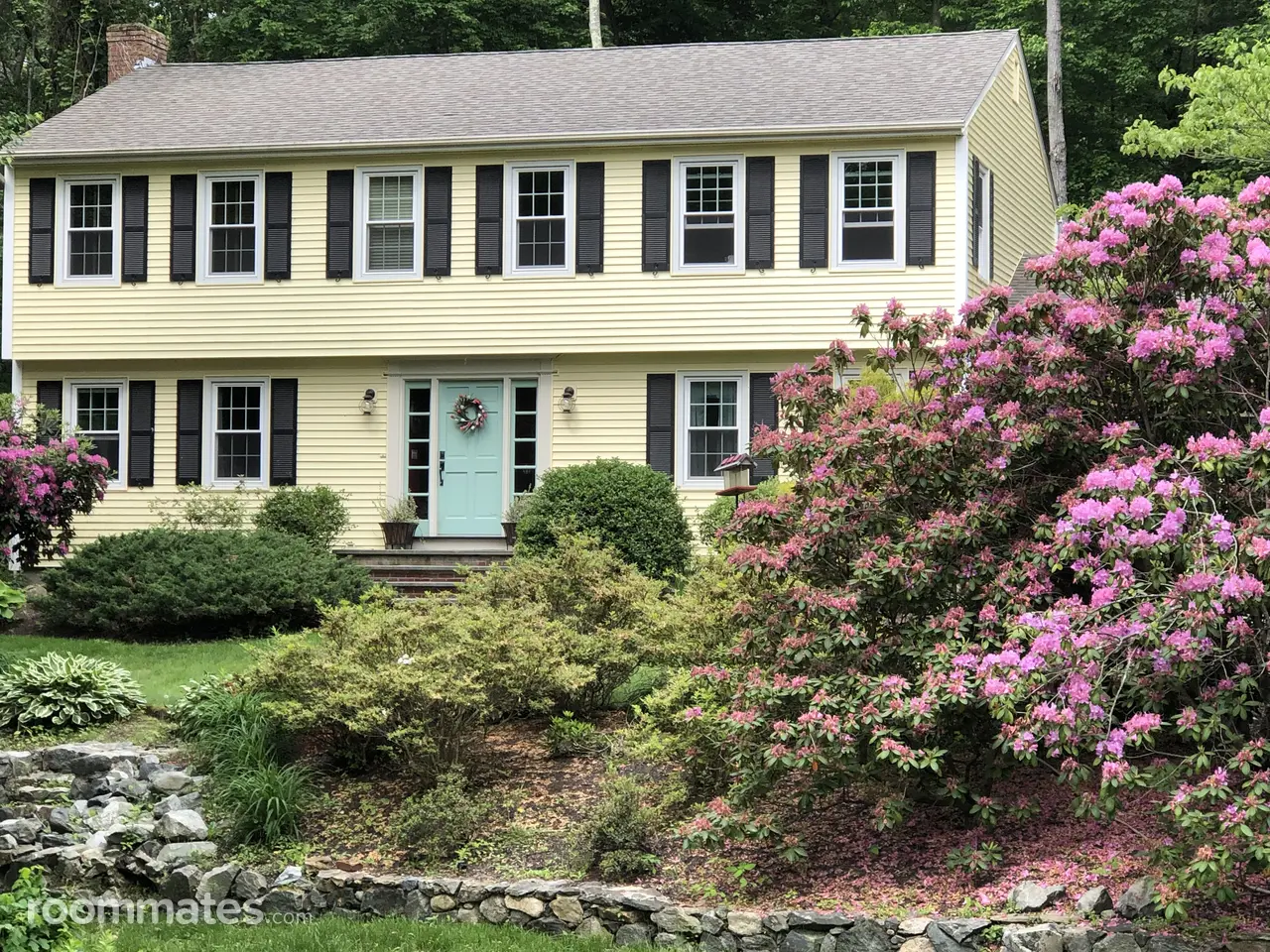 Profile photo 8 of 11