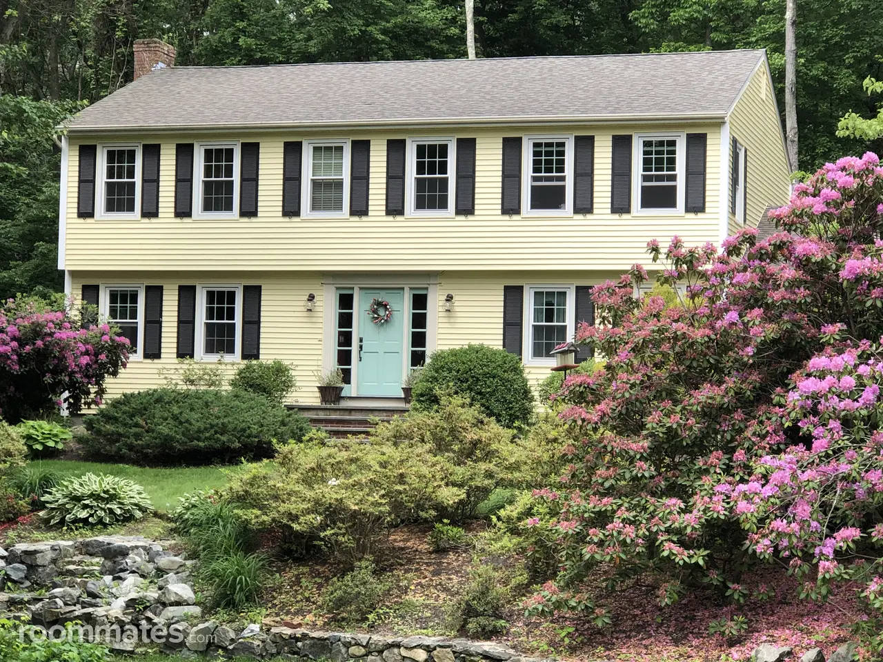 Profile photo 1 of 11