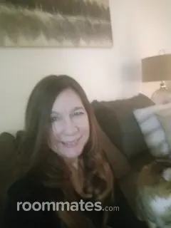 Roommate looking Glendale, AZ, $800