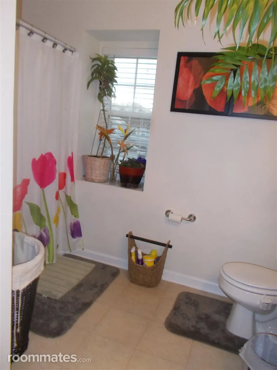 Profile photo 6 of 9