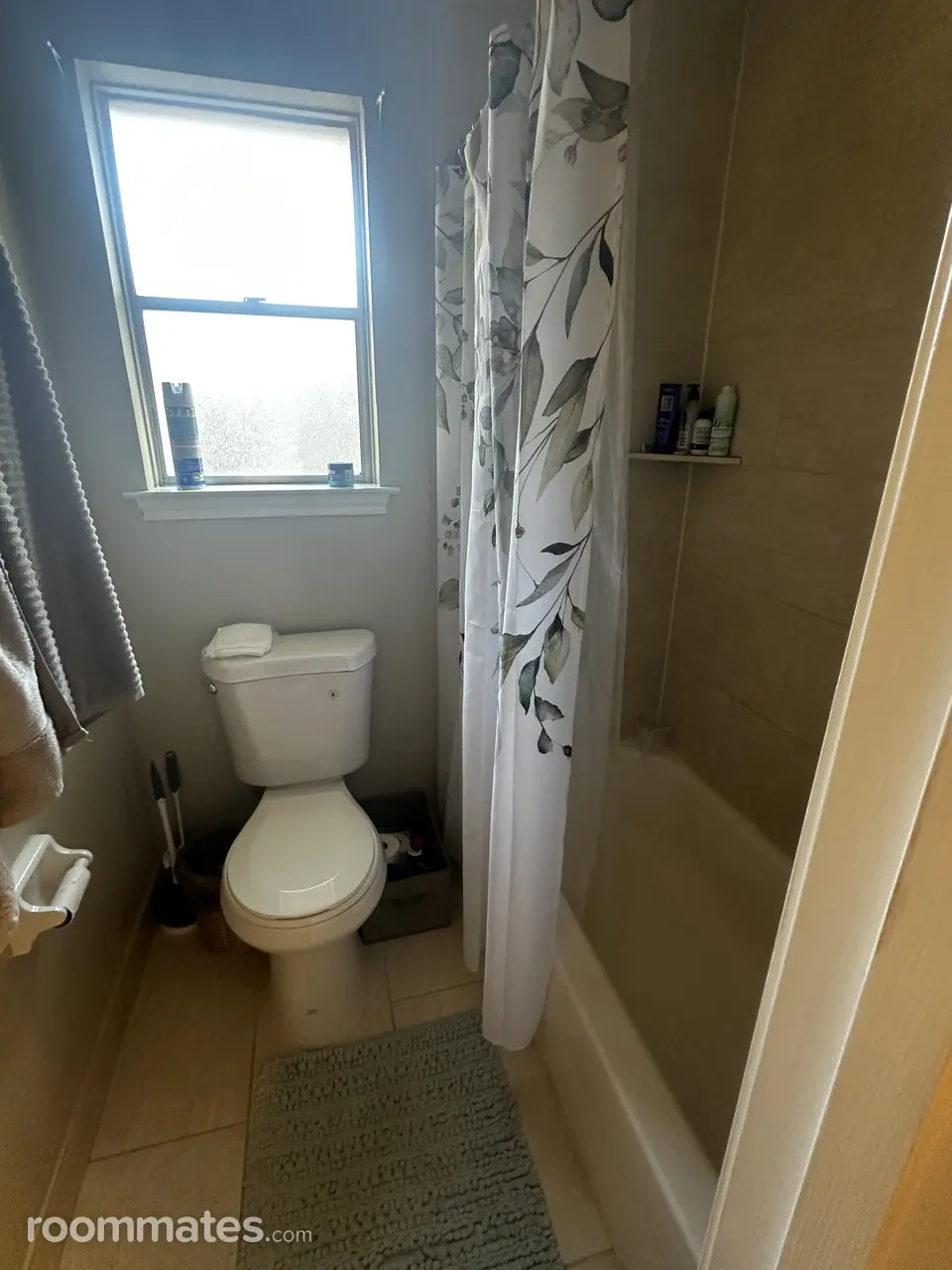 Profile photo 4 of 14