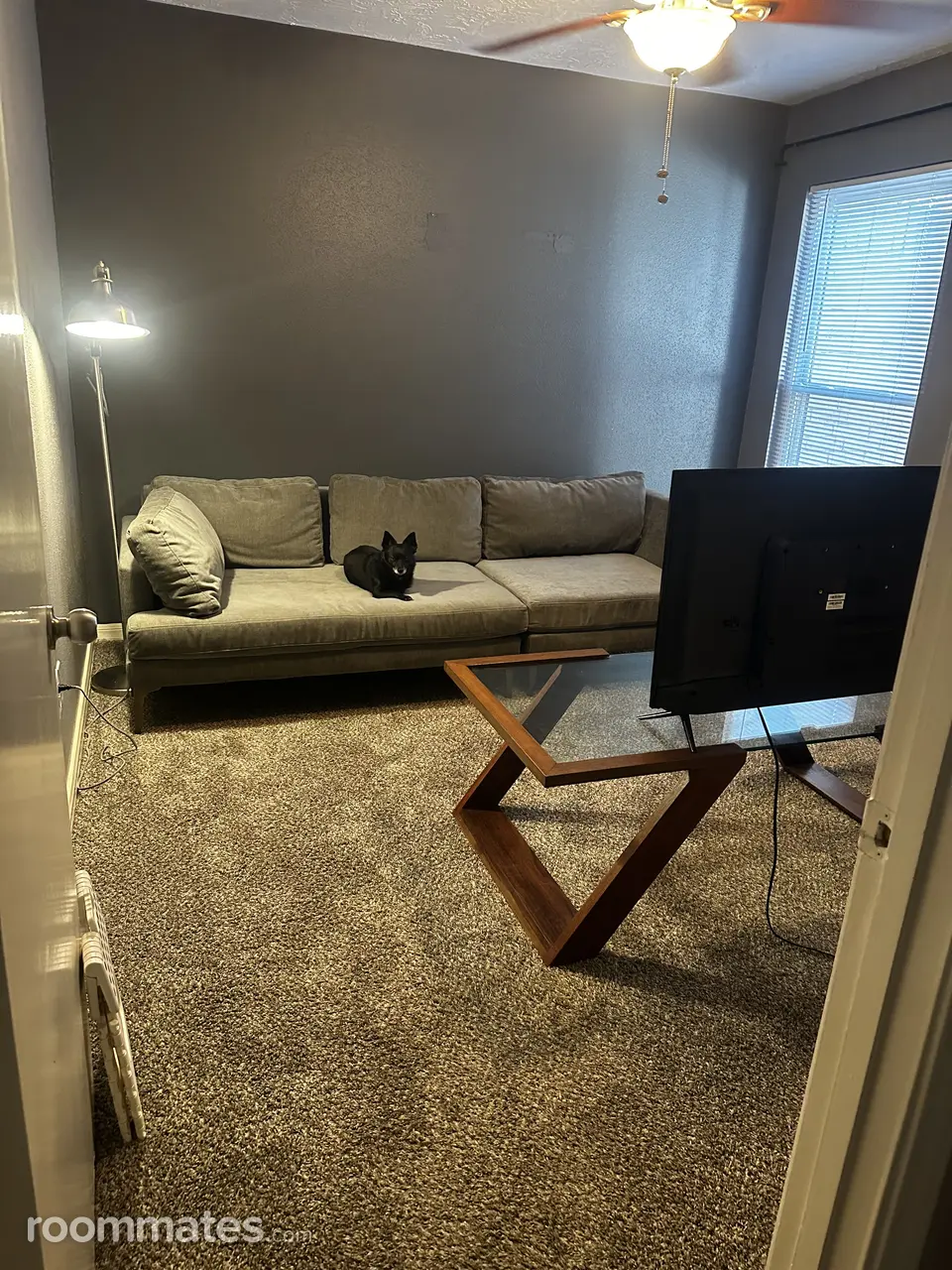 Profile photo 11 of 14