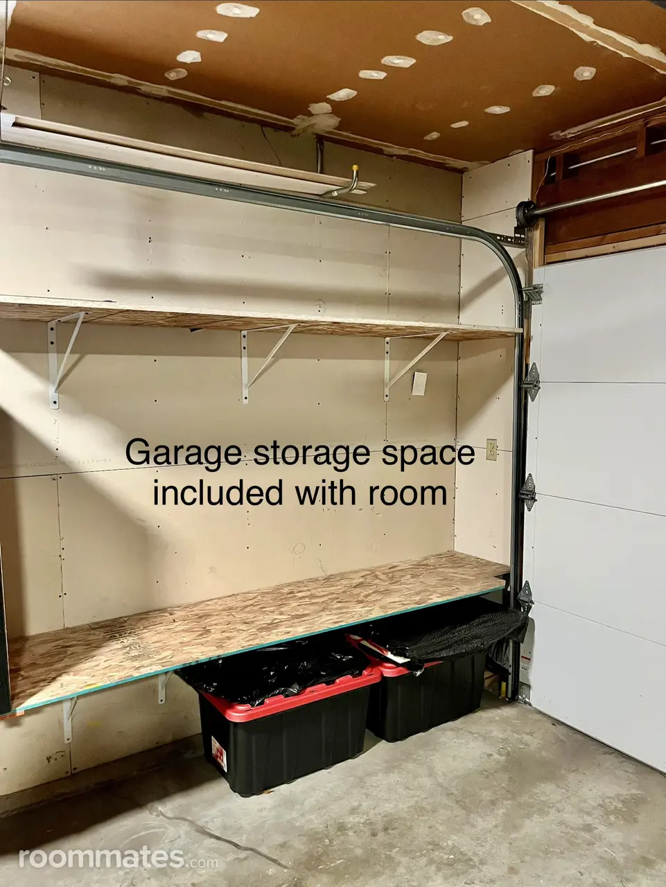 Profile photo 10 of 12