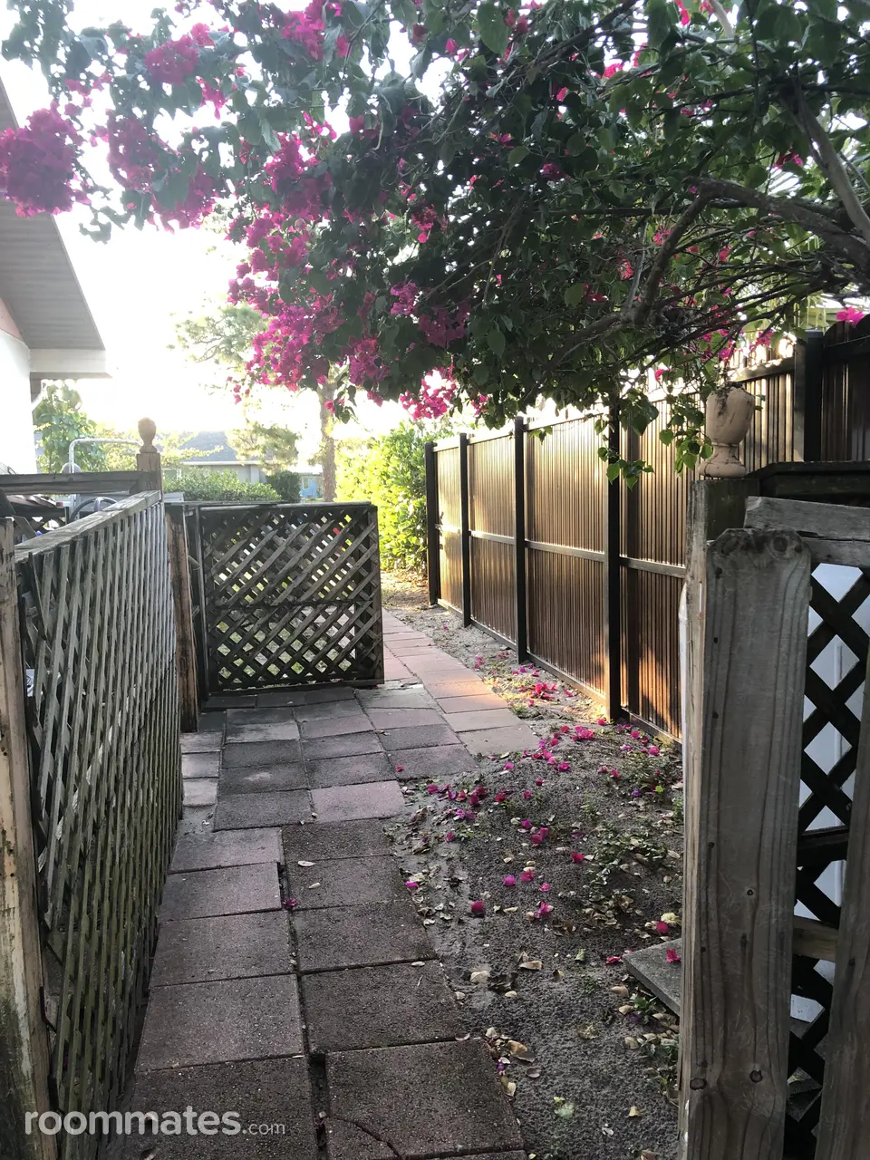 Profile photo 6 of 10