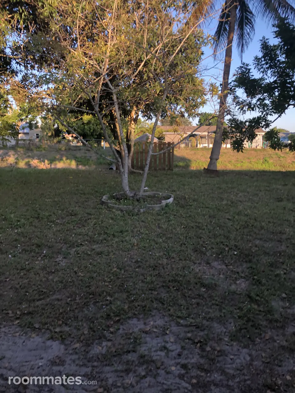 Profile photo 8 of 10