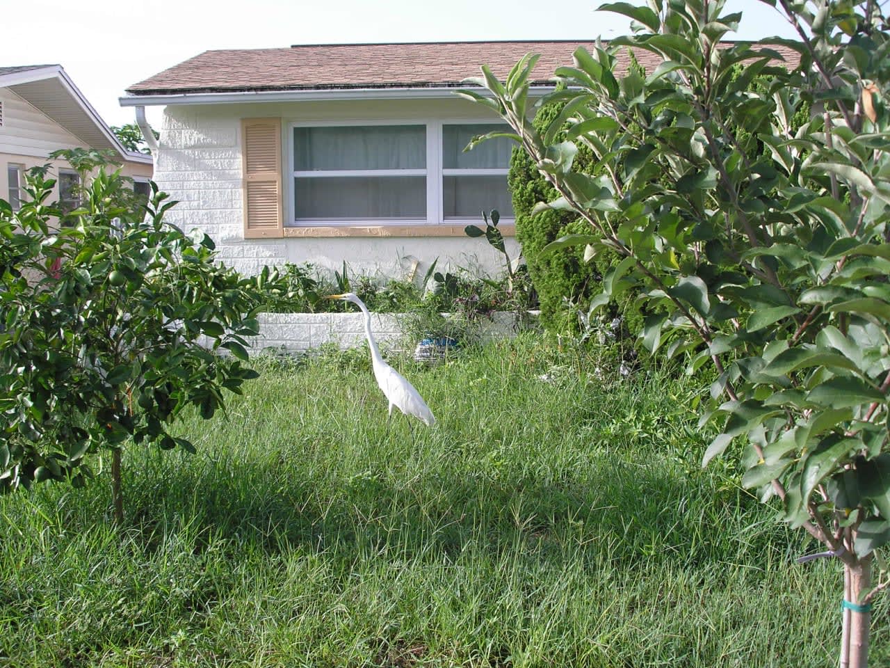 Profile photo 5 of 14