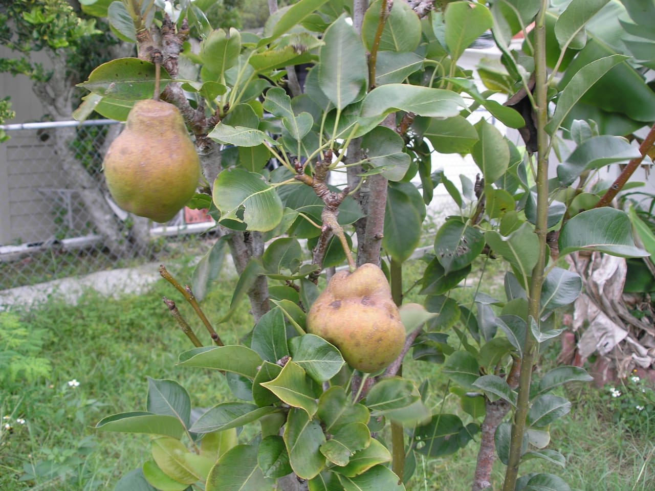 Profile photo 10 of 14