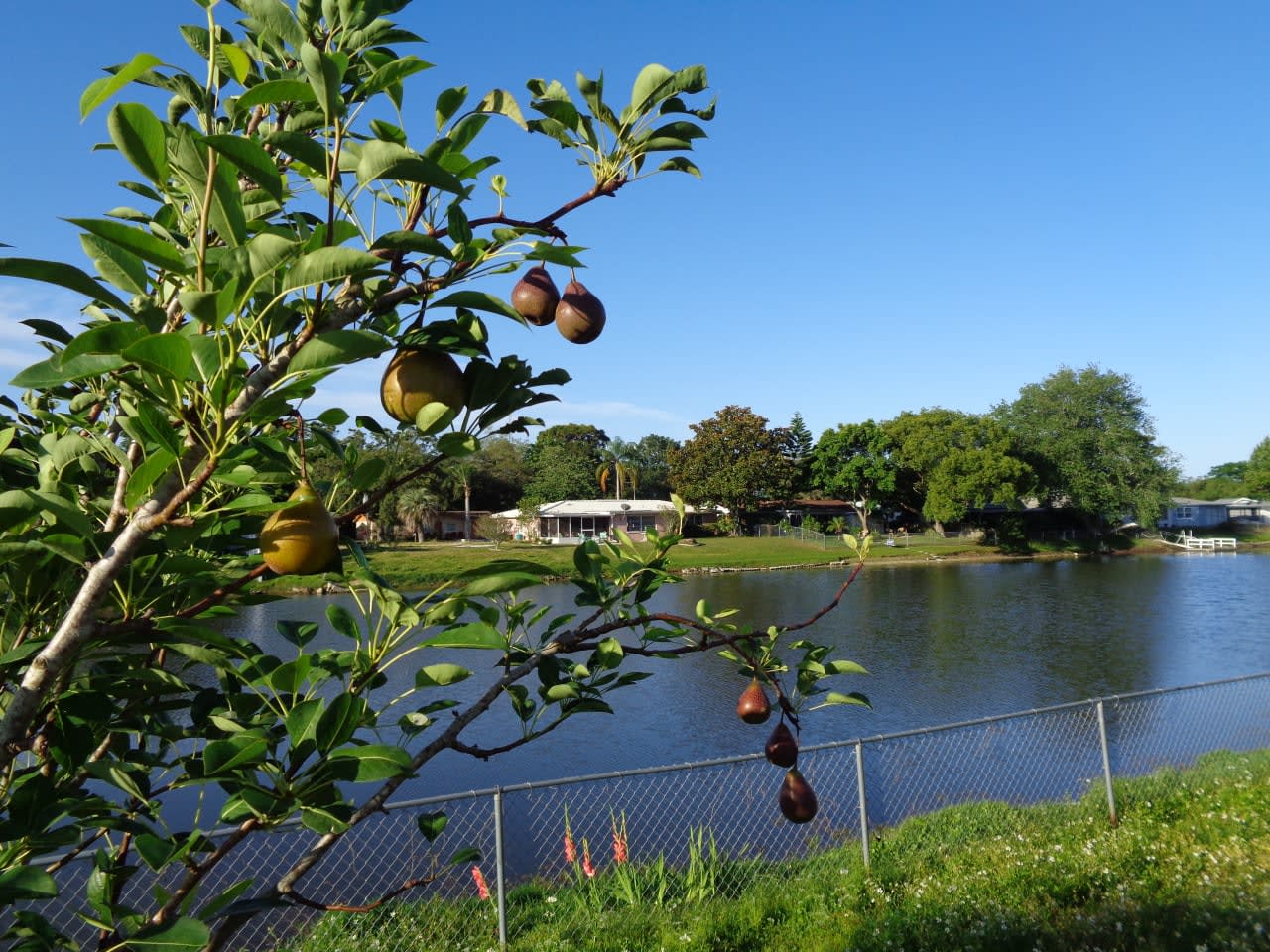 Profile photo 9 of 14