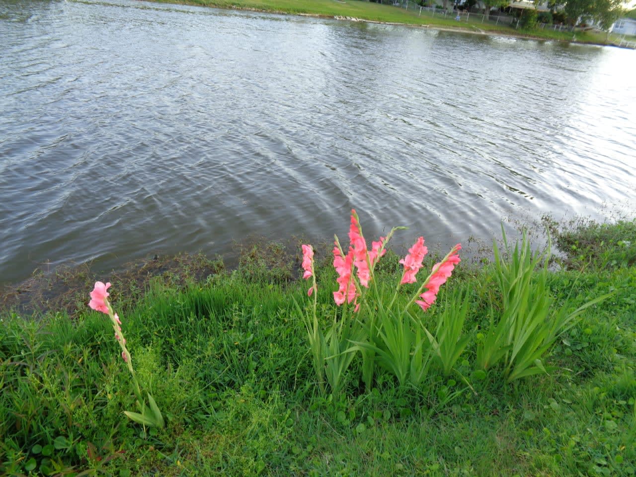 Profile photo 6 of 14