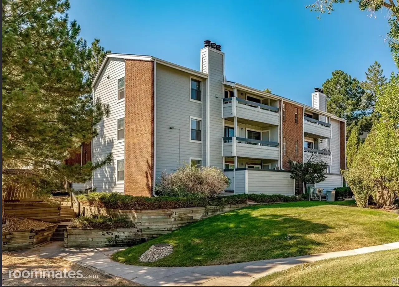 Profile photo 1 of 11