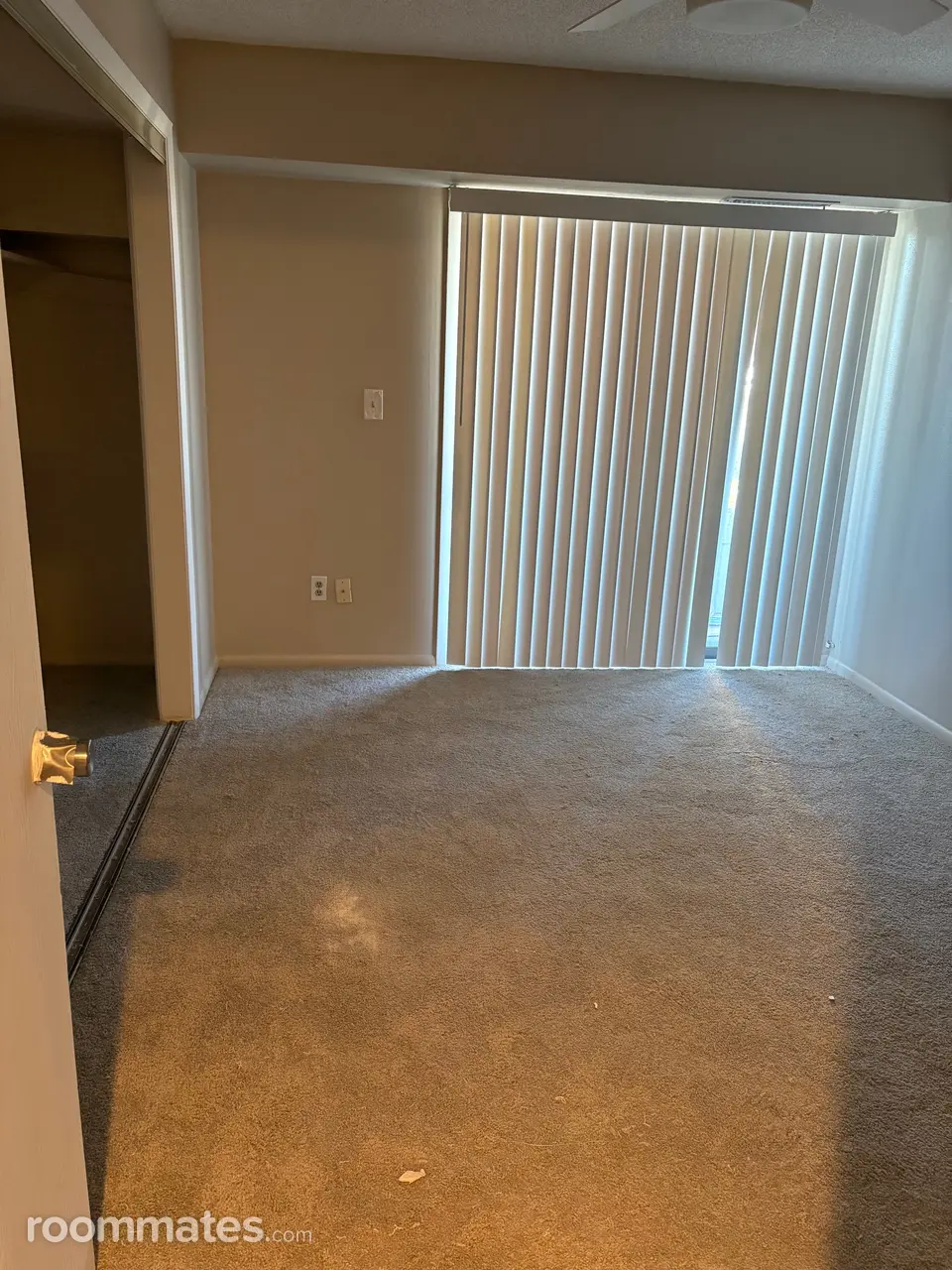 Profile photo 10 of 11