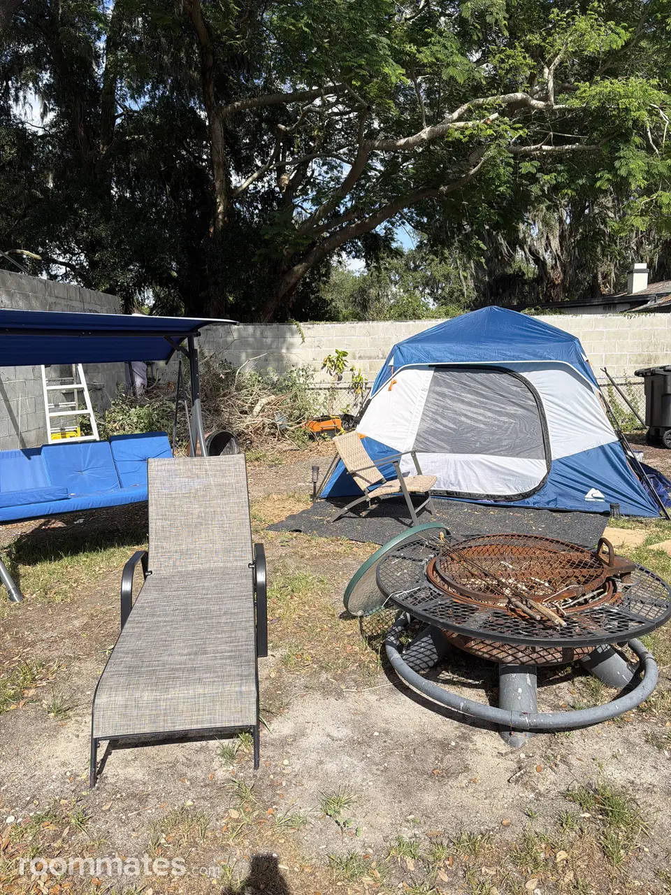 Profile photo 7 of 11