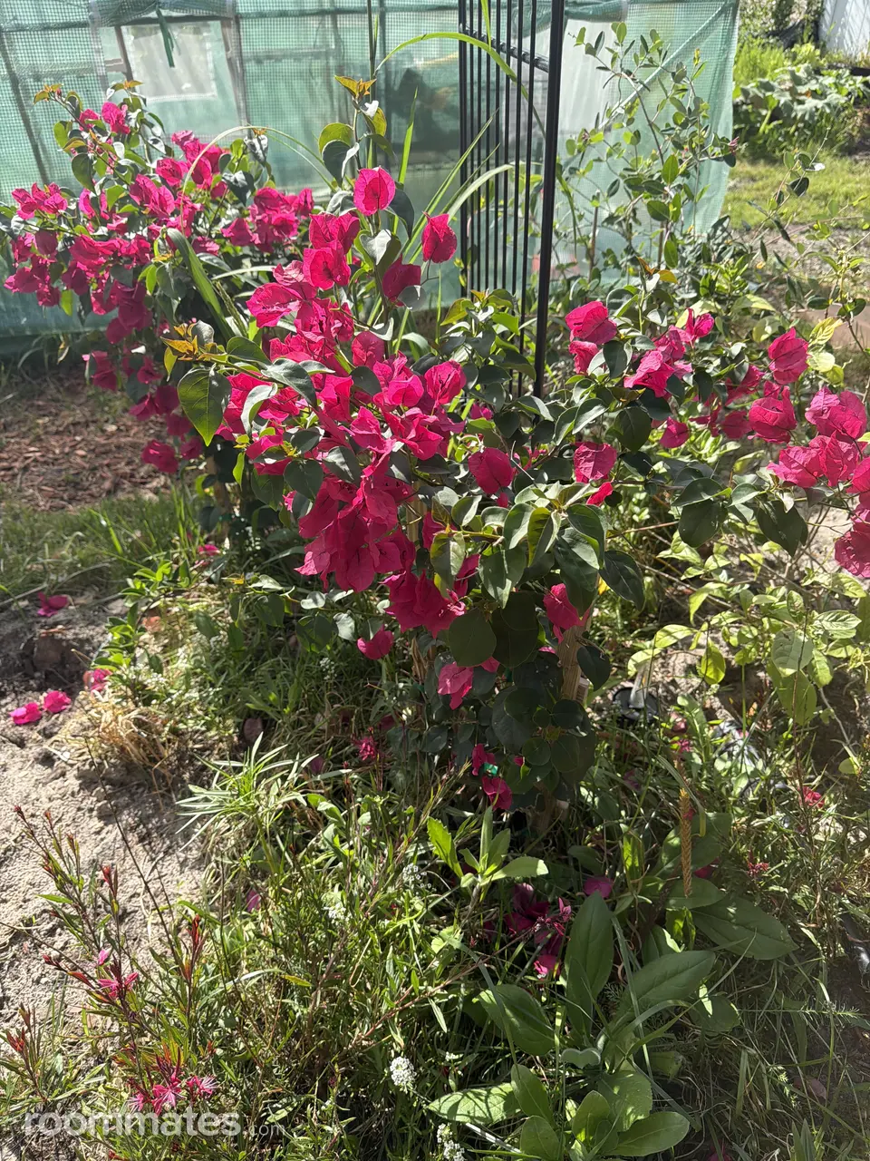 Profile photo 6 of 11