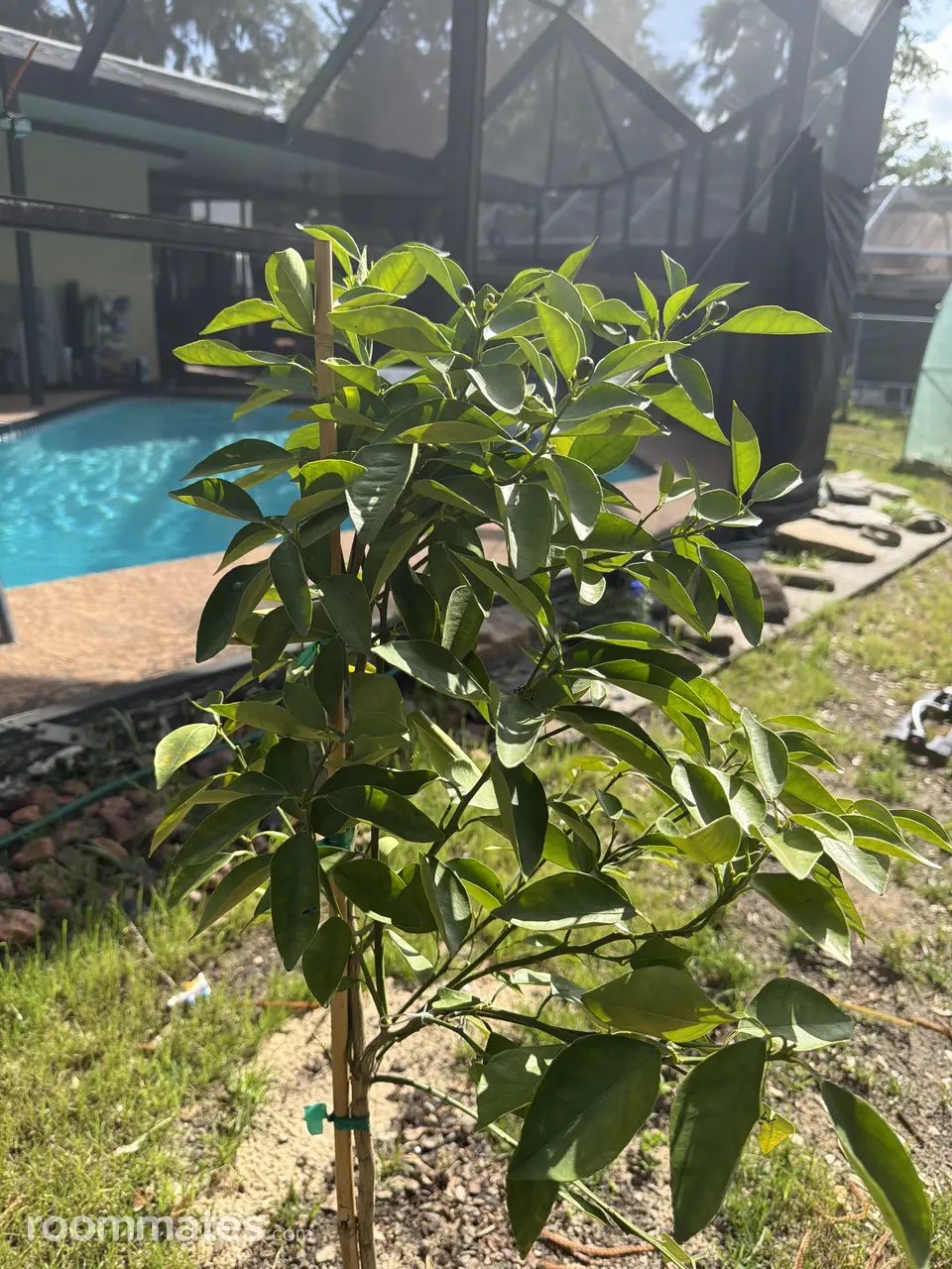 Profile photo 5 of 11