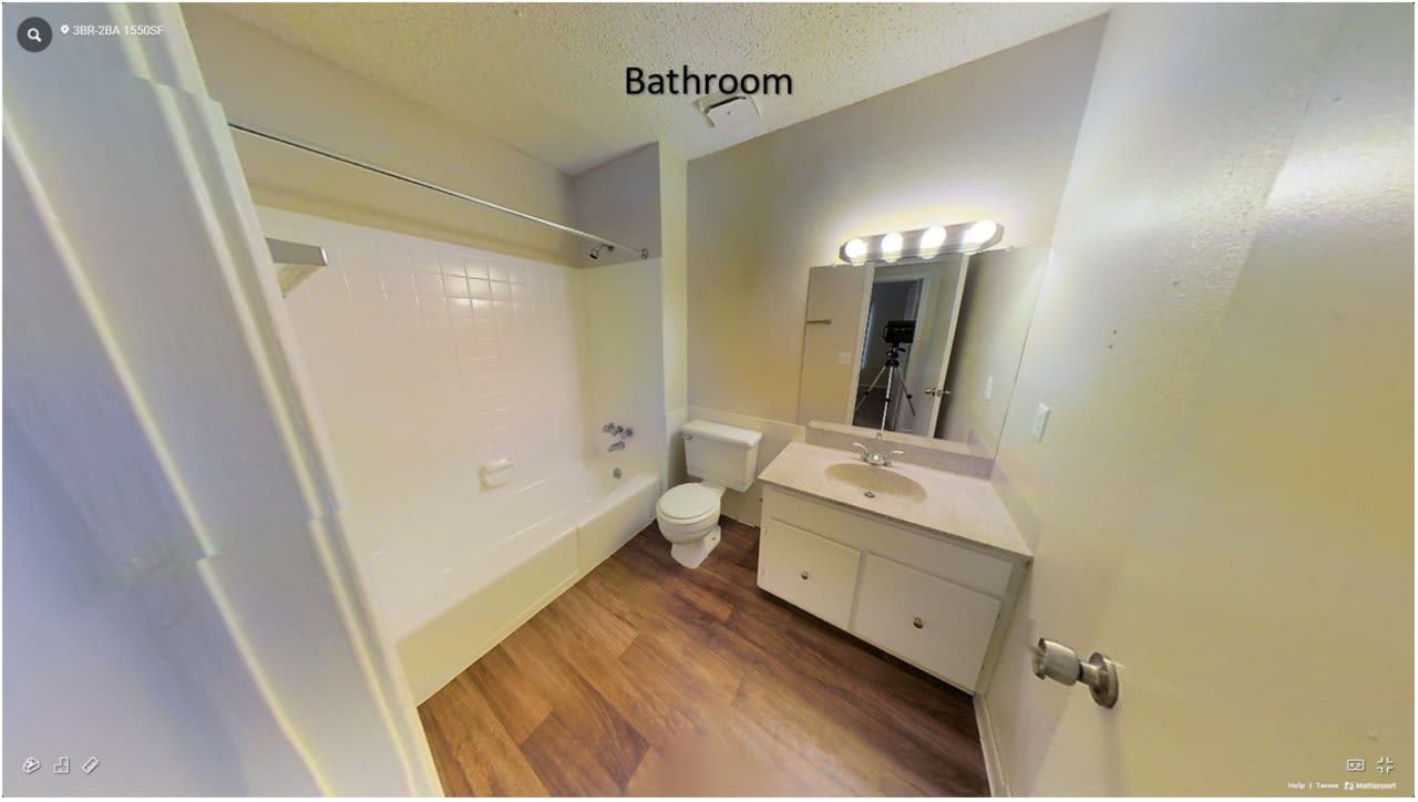 Profile photo 5 of 11