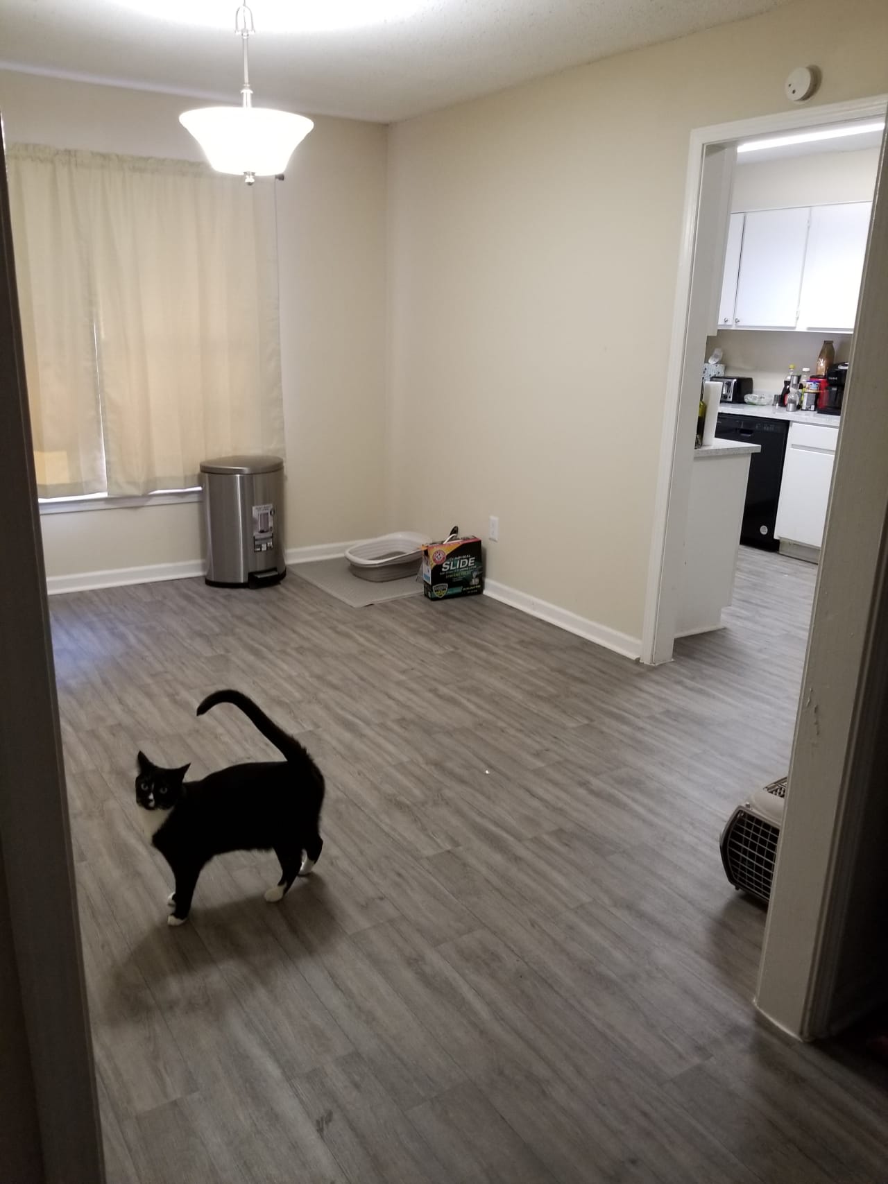 Profile photo 8 of 11