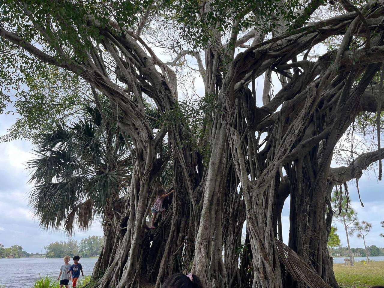 Profile photo 1 of 1