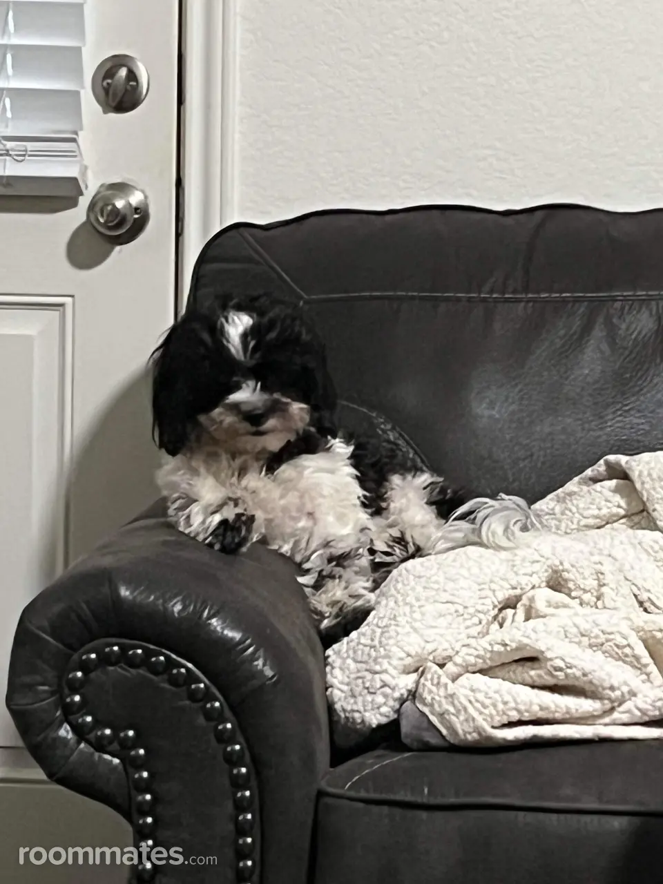 Profile photo 5 of 6