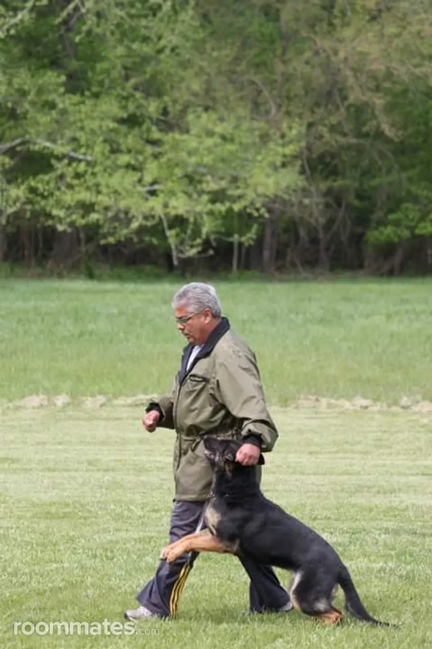 Profile photo 7 of 7