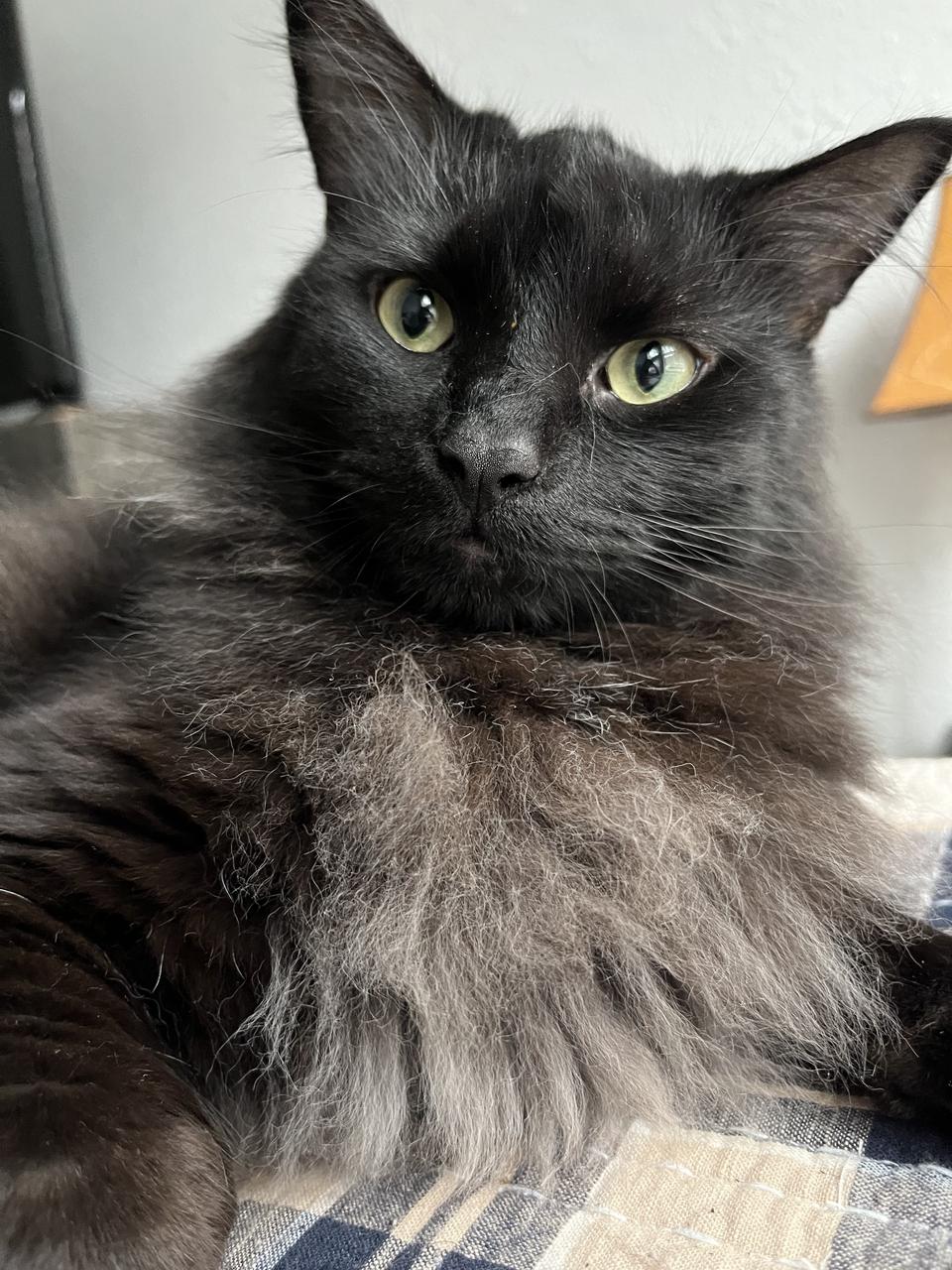 Profile photo 14 of 15