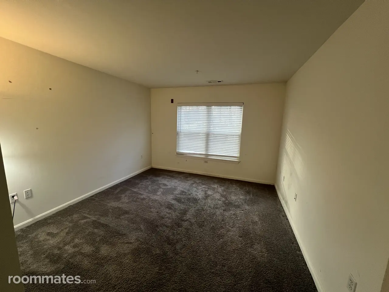 Profile photo 6 of 8