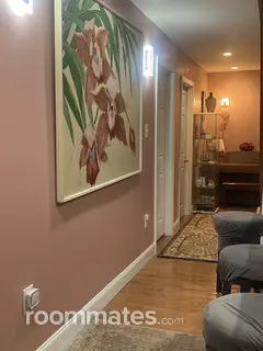 Room for rent in Plymouth, MI $750, house