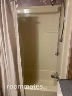 Room for rent in Van Buren Township, MI $450, house