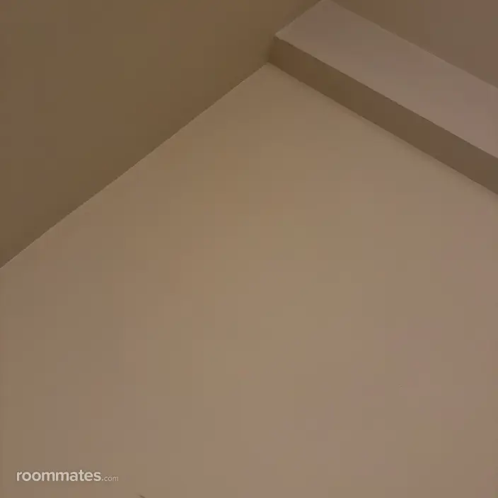 Room for rent in Glen Ellyn, IL $900, apartment