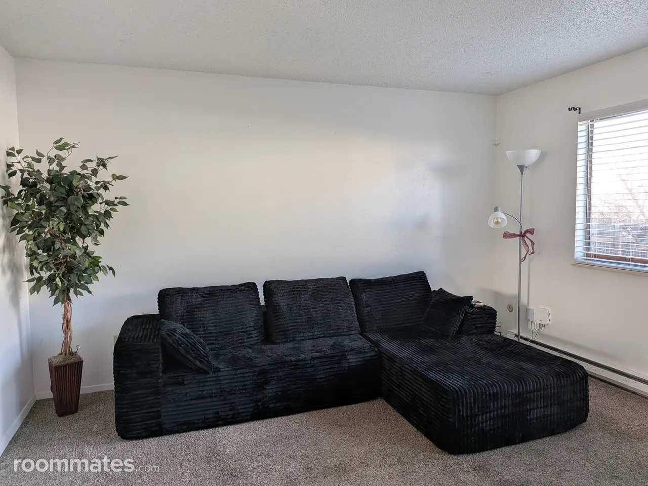 Profile photo 3 of 18