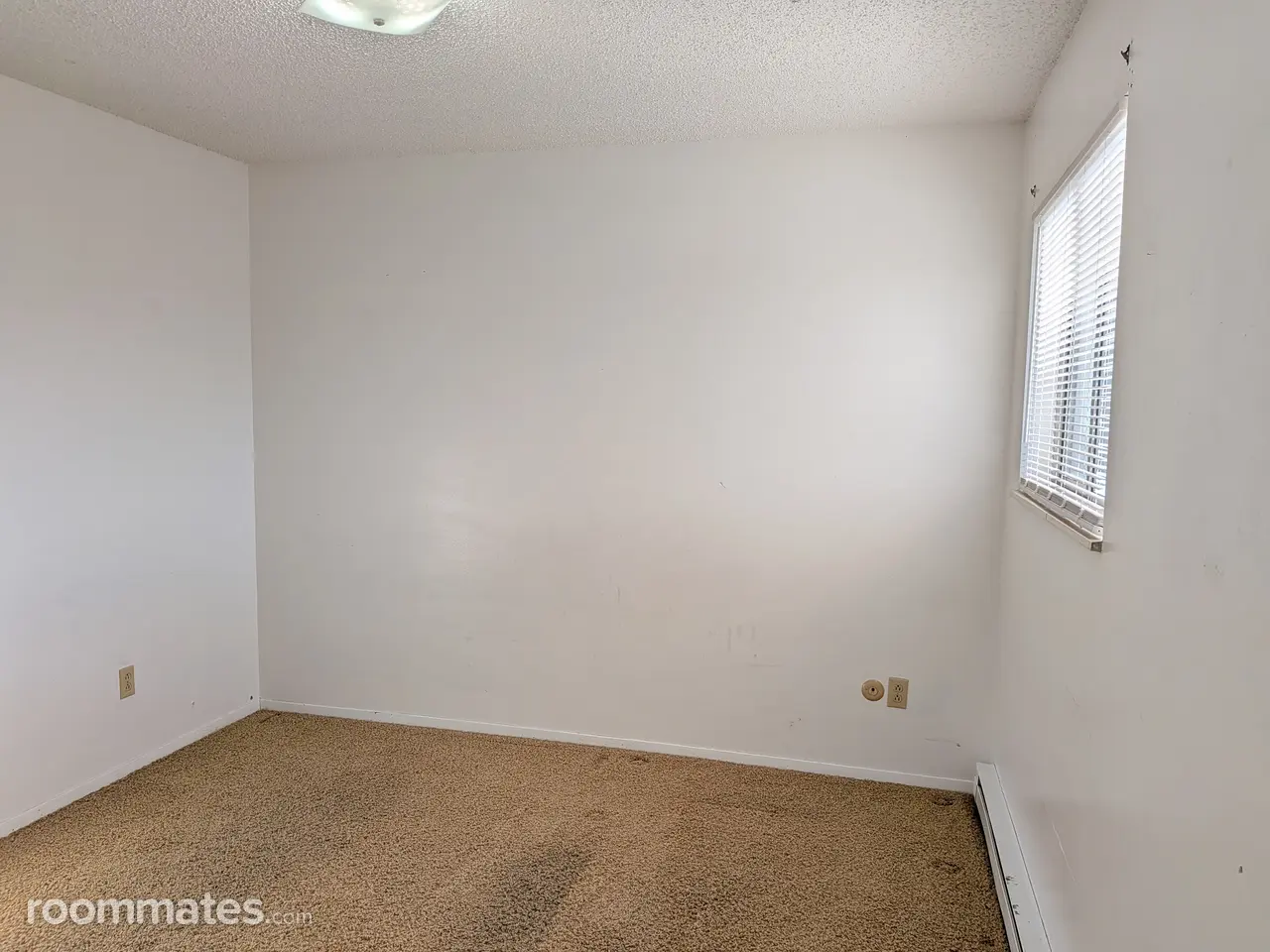 Profile photo 5 of 18