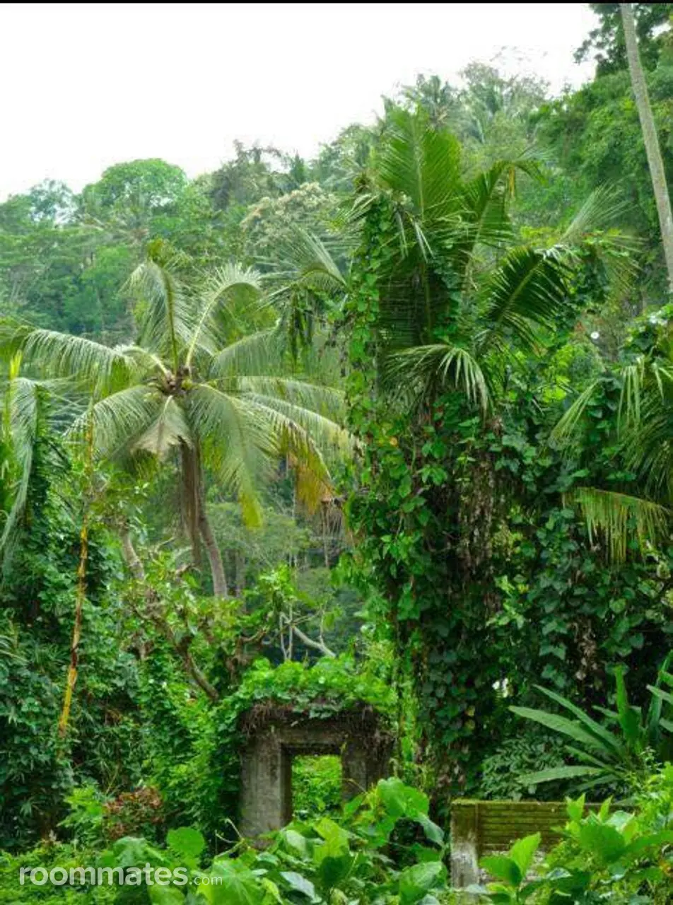 Profile photo 12 of 18