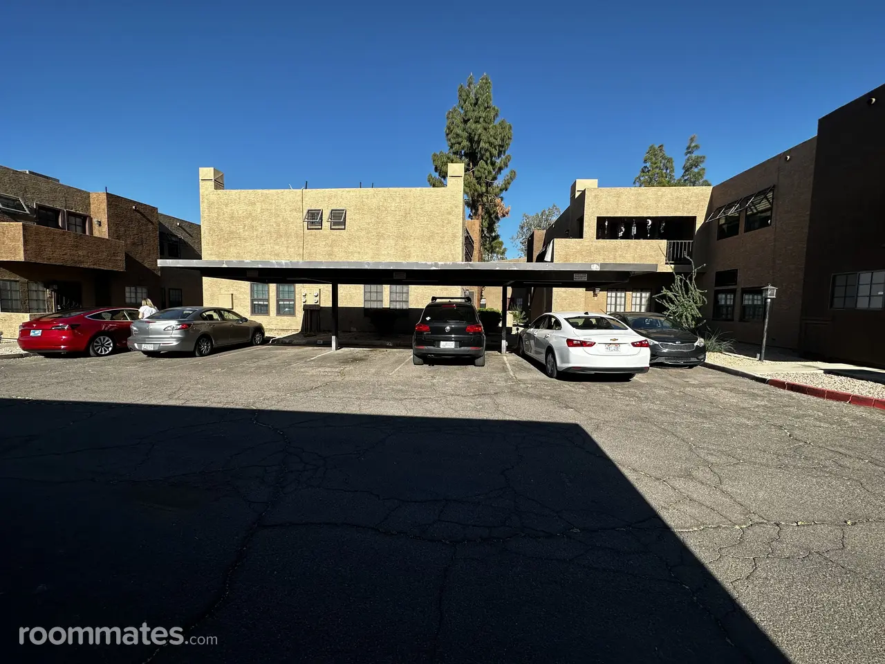 Profile photo 2 of 5