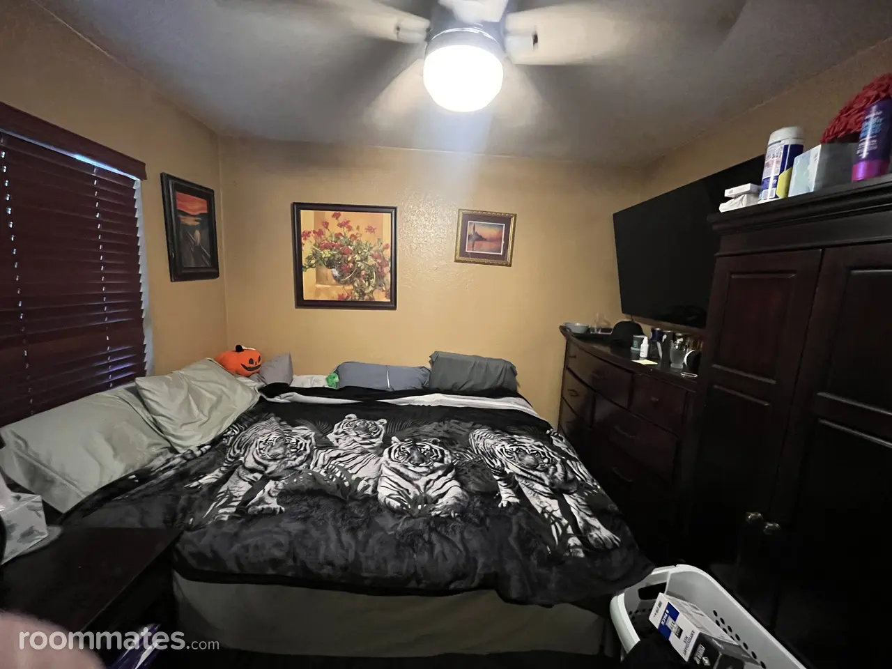 Profile photo 7 of 11