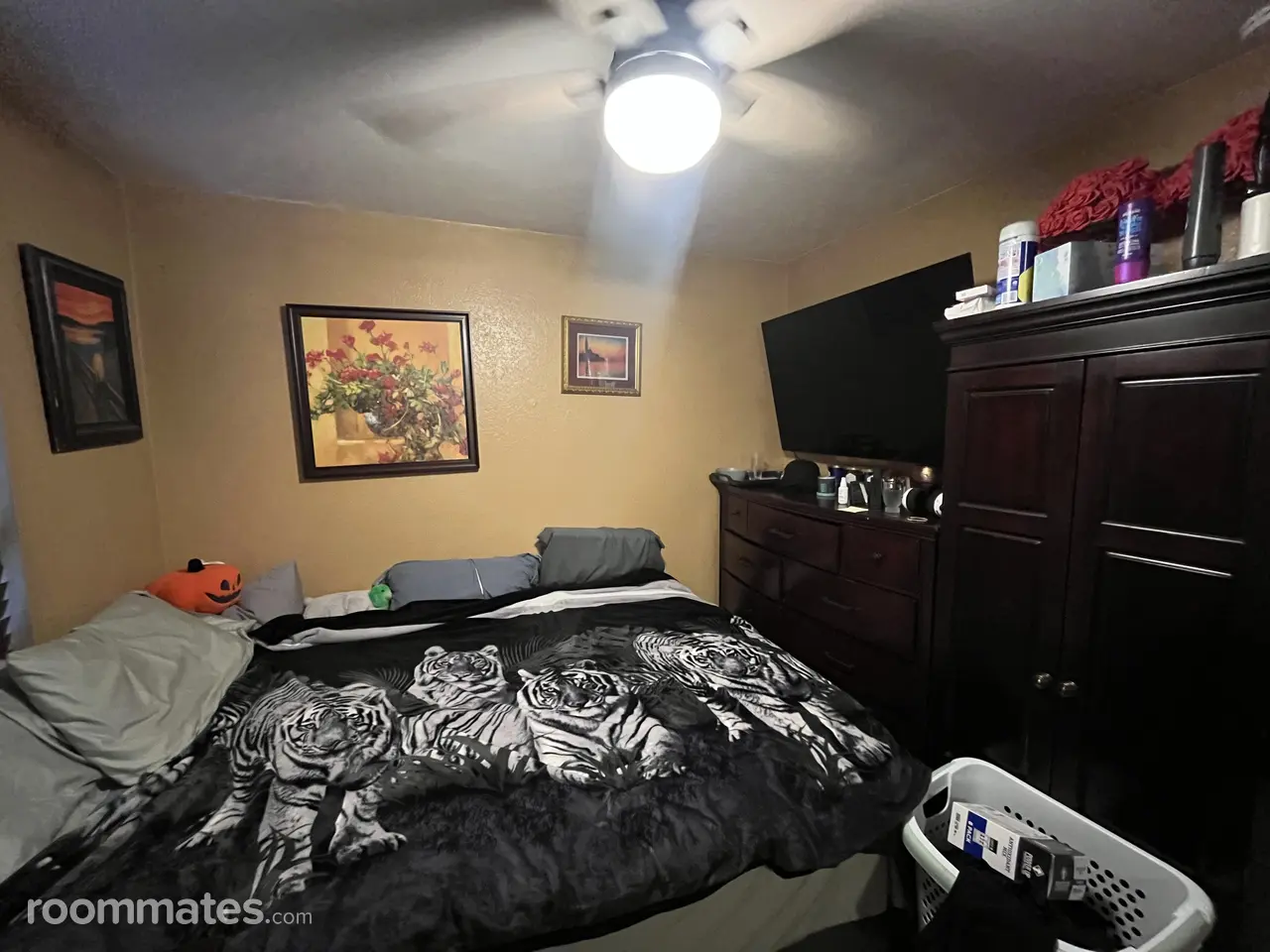 Profile photo 3 of 11