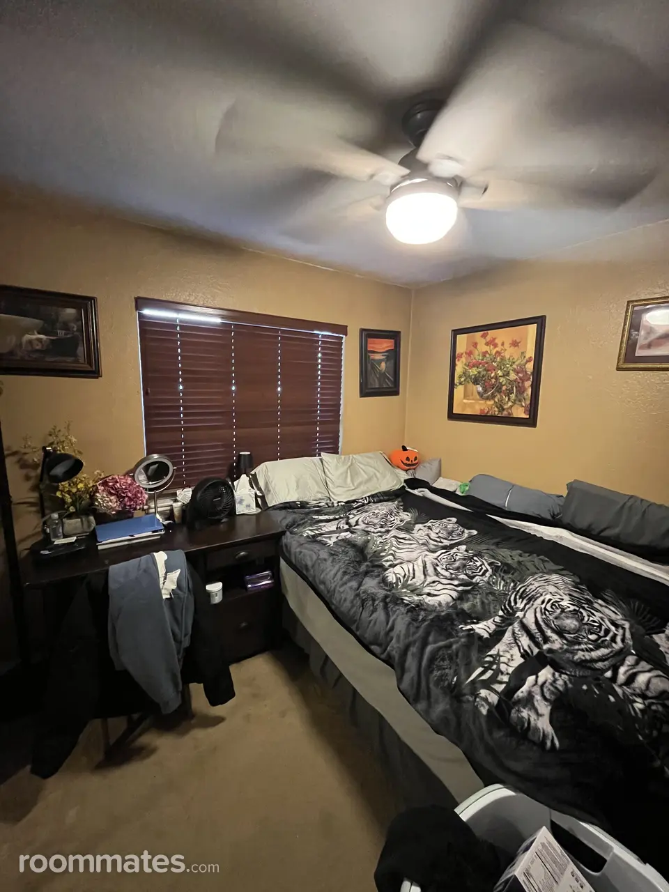 Profile photo 5 of 11