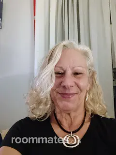 Roommate looking Norwich, CT, $700