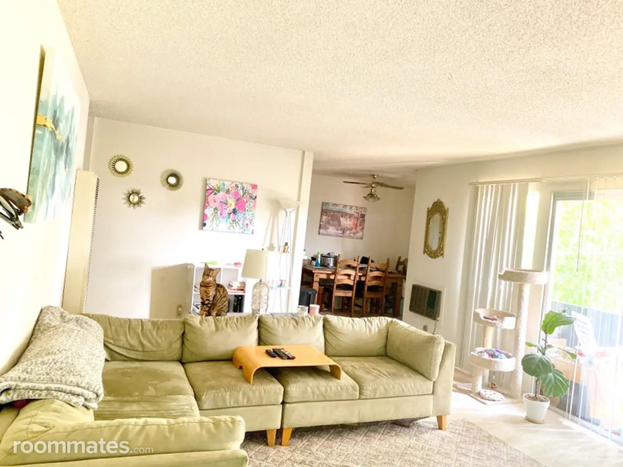 Profile photo 2 of 7