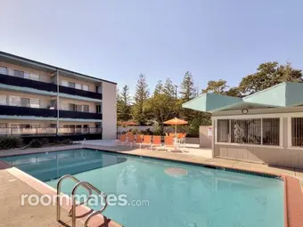 Room for rent in Walnut Creek, CA $1285, apartment