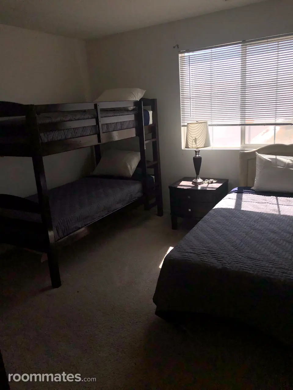 Profile photo 5 of 6