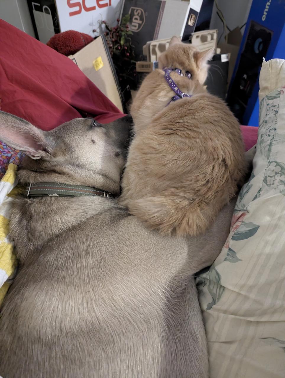 Profile photo 2 of 2