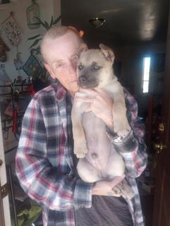 Roommate looking Crystal Lake, IL, $900