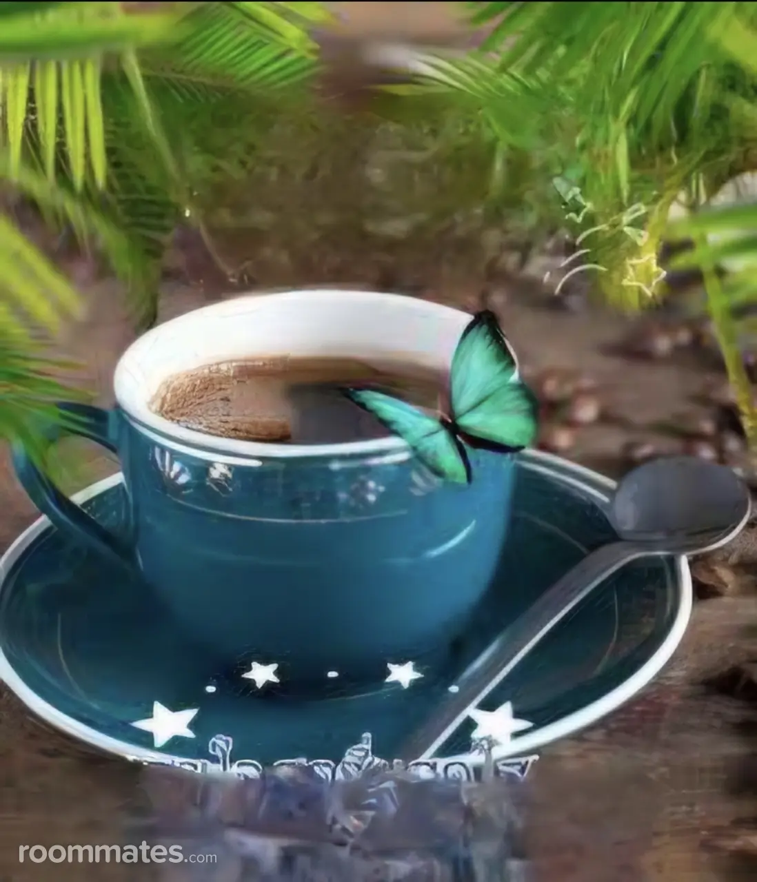 Profile photo 6 of 6