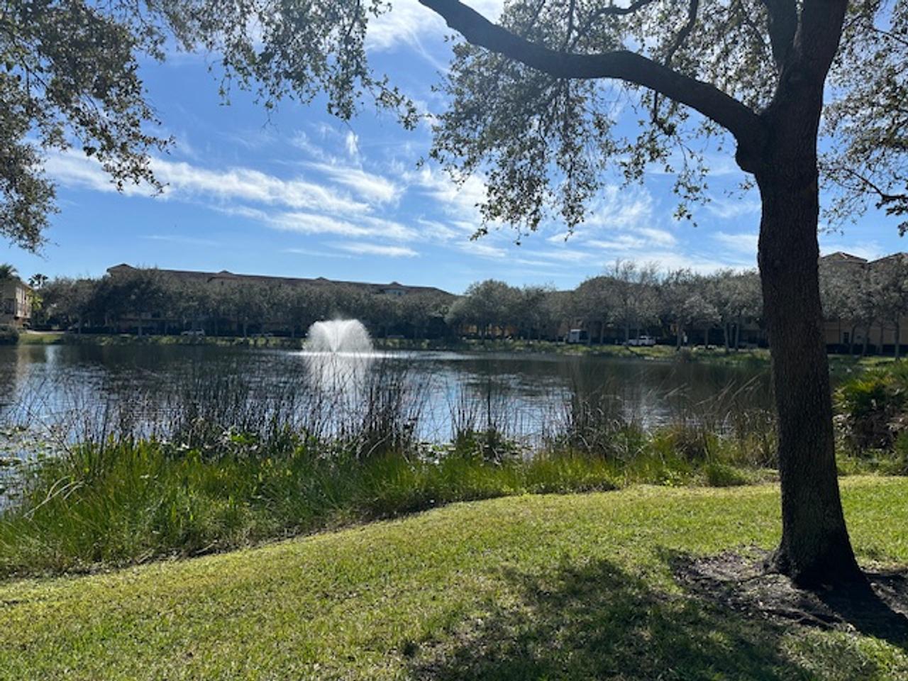 Profile photo 3 of 11