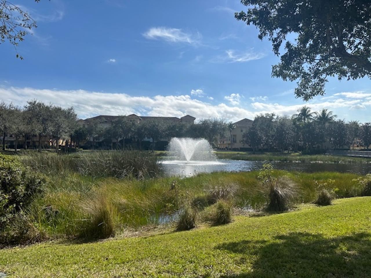 Profile photo 4 of 11