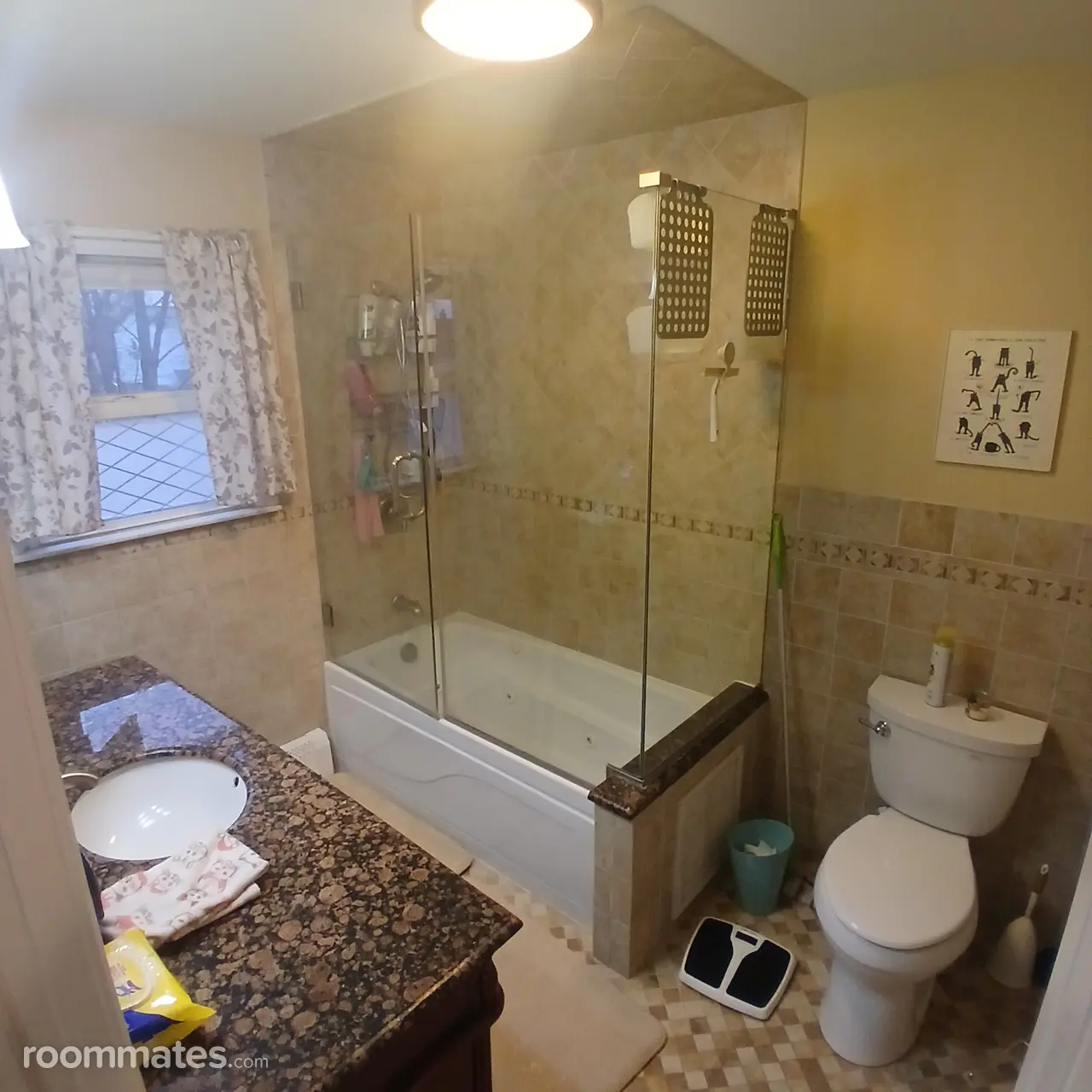 Profile photo 5 of 12