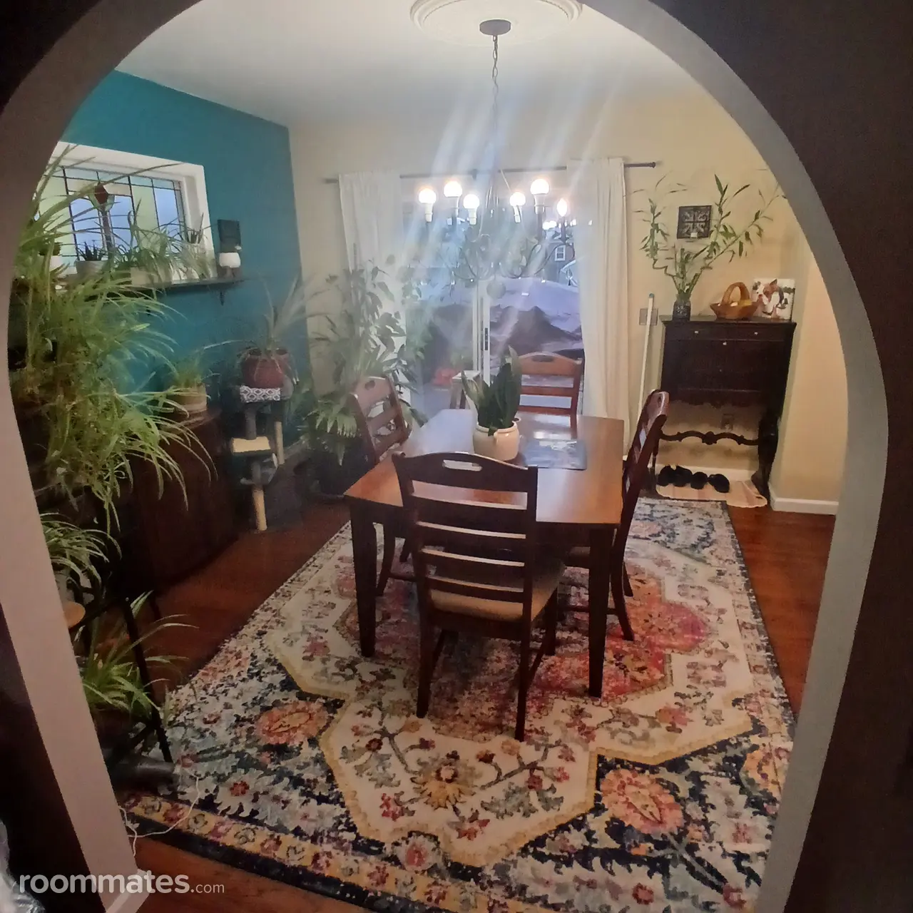 Profile photo 3 of 12