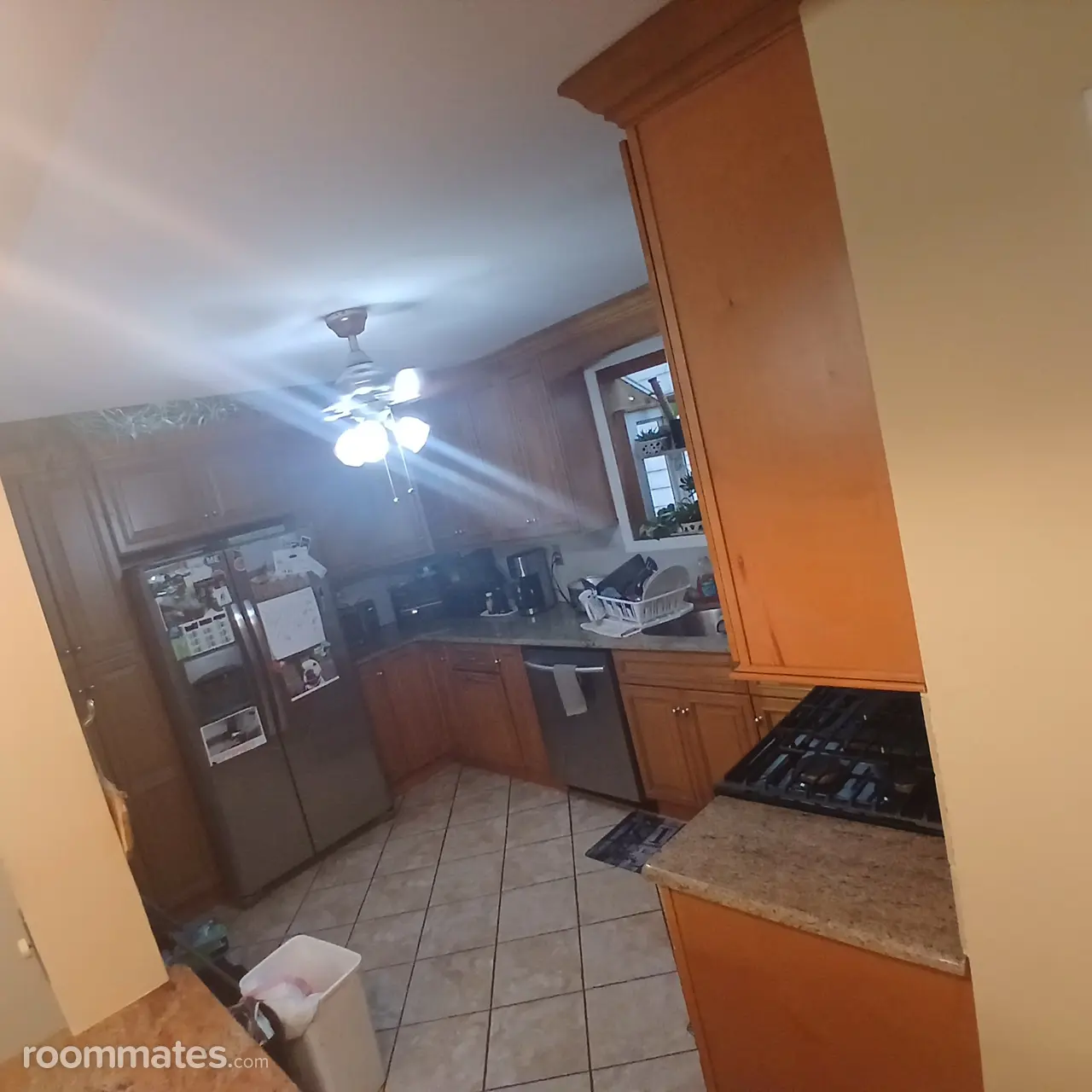 Profile photo 4 of 12