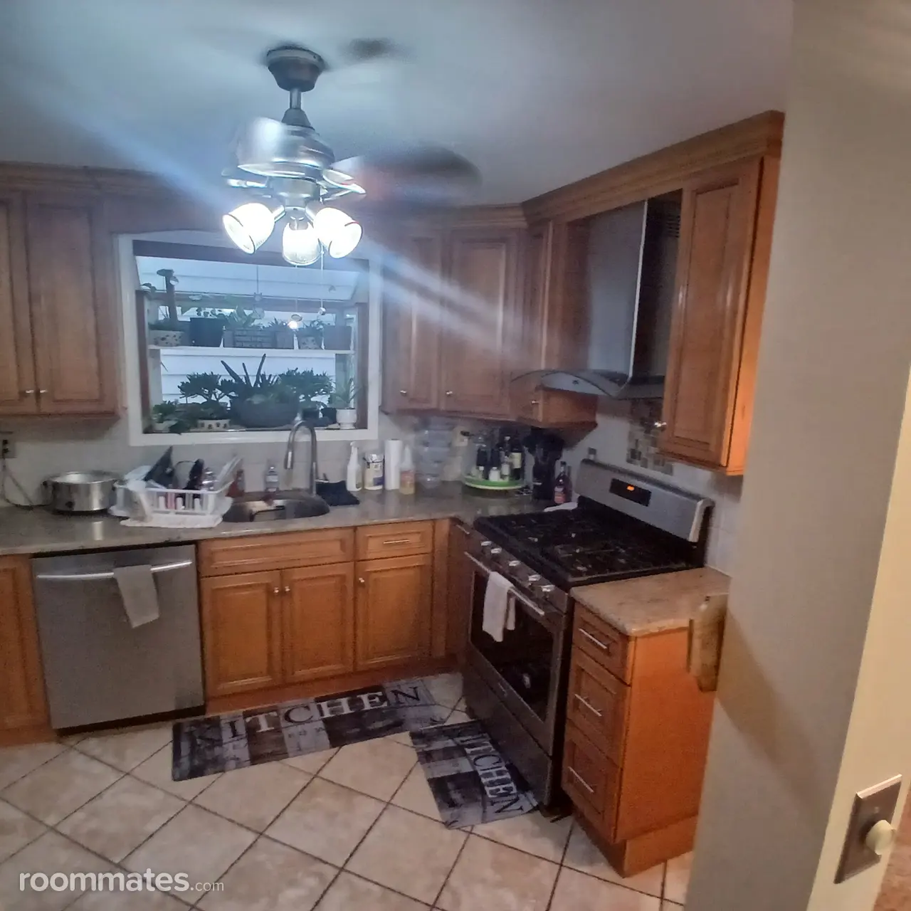 Profile photo 1 of 12