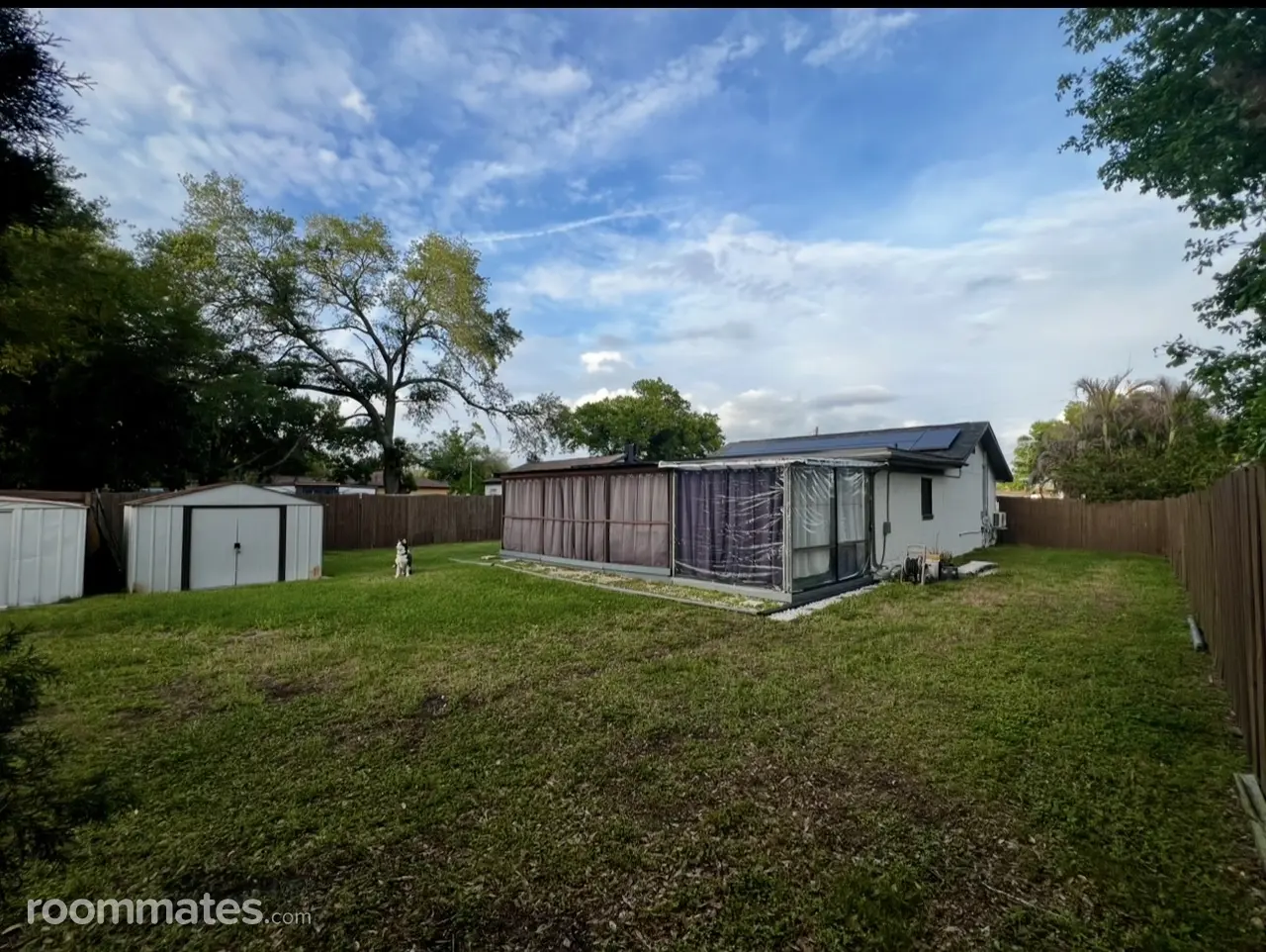 Profile photo 7 of 14