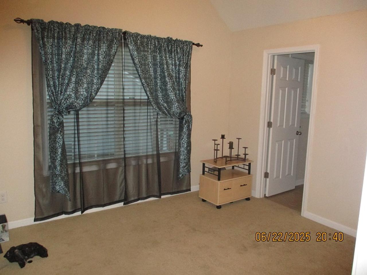 Profile photo 2 of 11